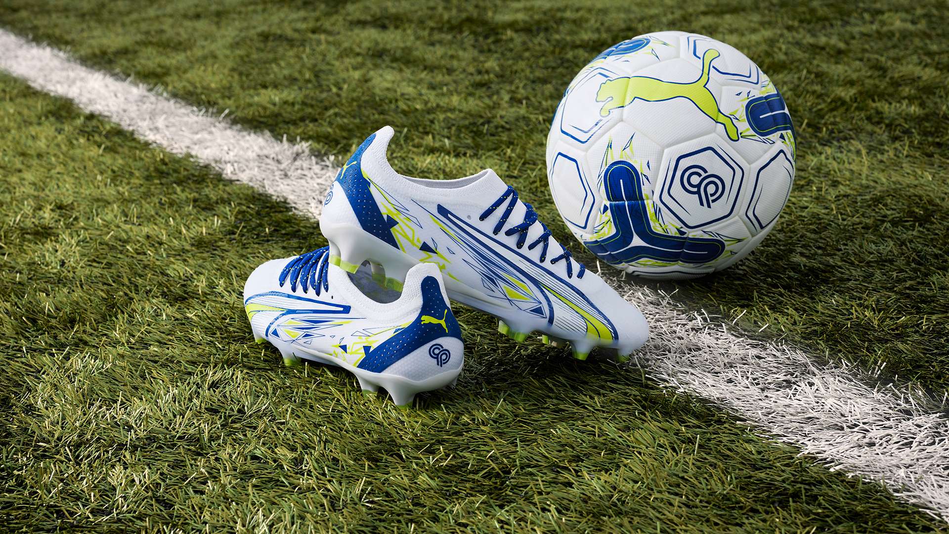 入这一行列 入这一行列