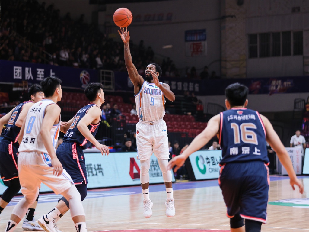 照赛区的赛 照赛区的赛